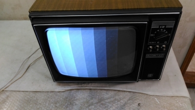 Телевизор Рассвет-307